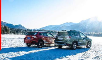 四驱车怎么组词造句