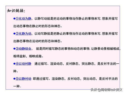 模型的我怎么组词