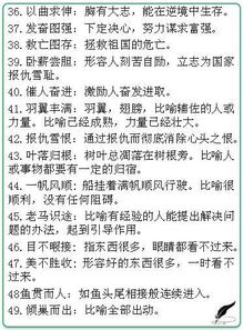 帅气的帅怎么组词成语