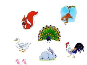 怎么组词鼠 怎么组词鼠