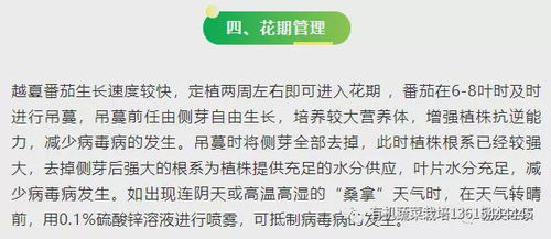 蒸桑拿的蒸怎么组词