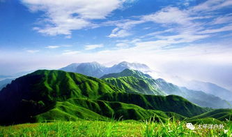 山巅的巅可以怎么组词