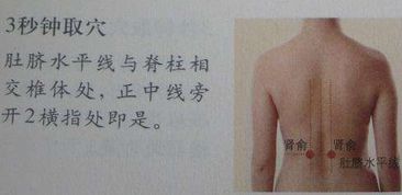 男人性功能怎么组词