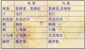 颗粒的科可以怎么组词