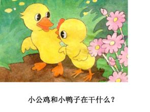 哎呀我去公鸡怎么组词