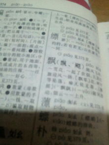 潼在字典多少页怎么组词