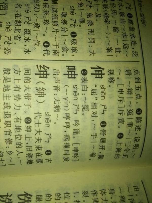 潼在字典多少页怎么组词