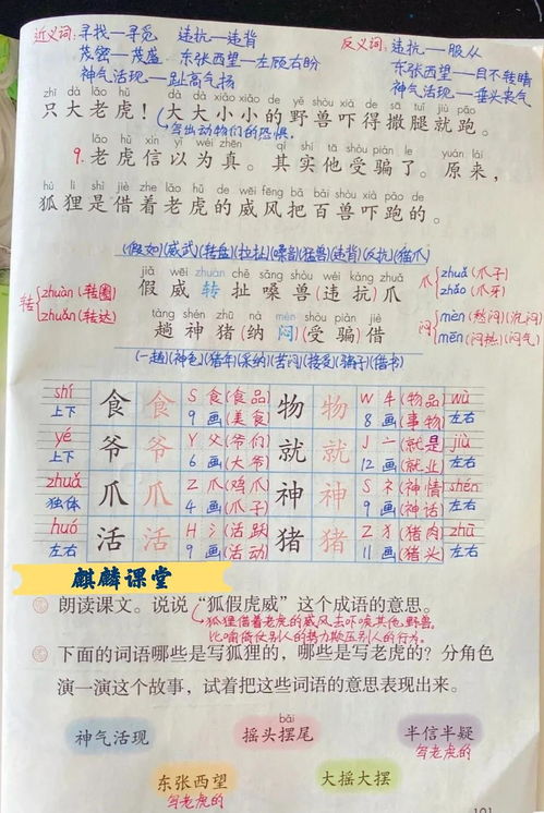 狐狸的狐组词