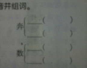 书法的组词怎么写