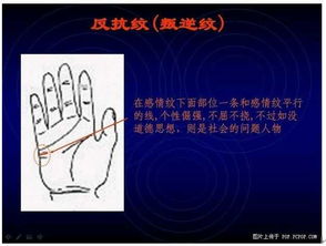 左手右左怎么组词