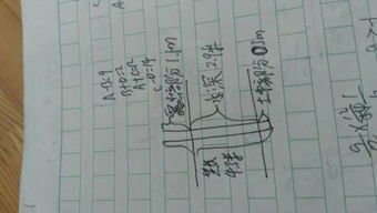 小度竹子的竹怎么组词