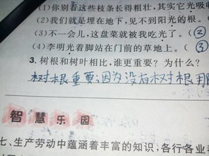 请问树根的根怎么组词