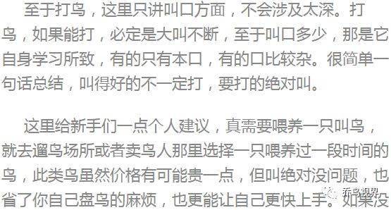 口加鸟哪个名怎么组词