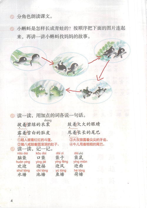 蝌蚪的蝌怎么组词