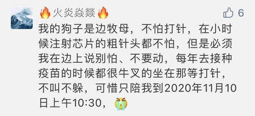 毛毡的毡还能怎么组词