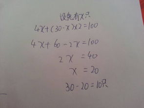 鸡熬脚脚怎么组词