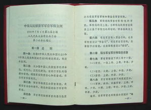 上将大将组词怎么写