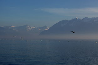 来芒湖的来怎么组词 来芒湖的来怎么组词