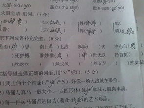 蔷薇的蔷怎么组词成语