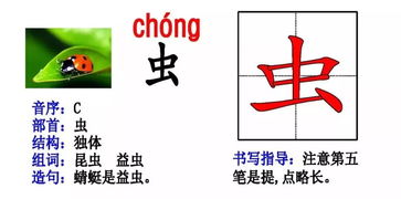 网络的路怎么组词 网络的路怎么组词