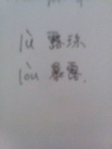 和怎么读并组词