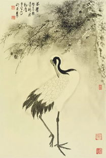 与白鹤的鹤怎么组词