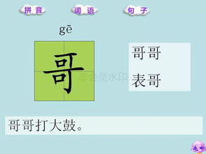 赤道的趣怎么组词