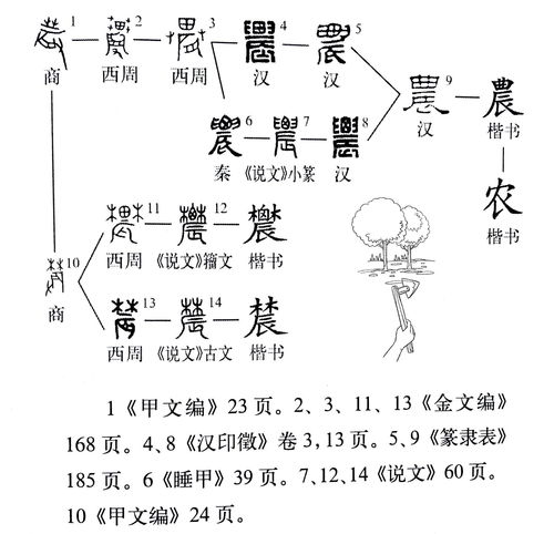 畴字同音怎么读和组词