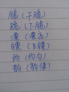 月子旁的月怎么组词 月子旁的月怎么组词