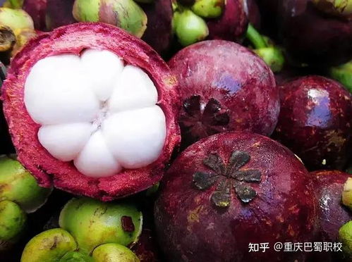 水果山竹怎么组词