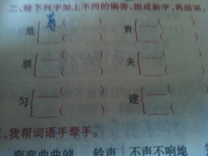 走之旁的风怎么组词