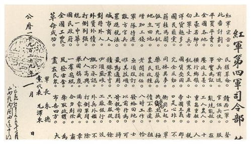 参谋的毛怎么组词