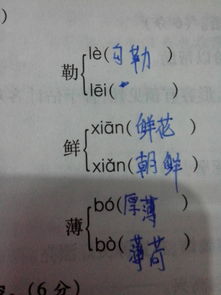 用偎怎么组词