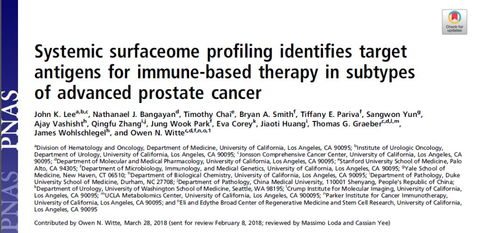 蛋的蛋怎么组词 蛋的蛋怎么组词