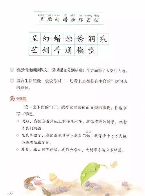 组词呈