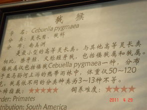 崇敬的虫怎么组词