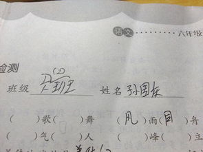 四都有什么读音怎么组词