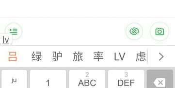 lu怎么组词 lu怎么组词
