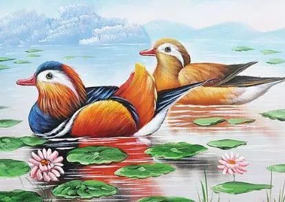 鸳鸯的鸯和鸯怎么组词