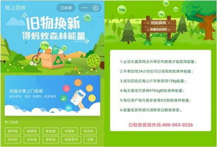 小度白怎么组词