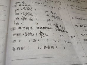 冈和刚怎么组词