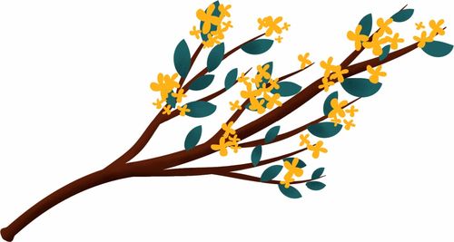 柜怎么组词桂花的