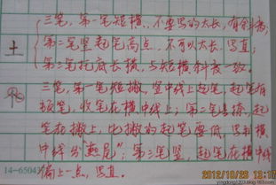 土什么的组词怎么写 土什么的组词怎么写