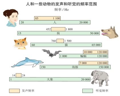 琴和武怎么组词呢