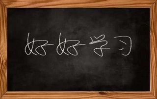 谅组词可以怎么组句