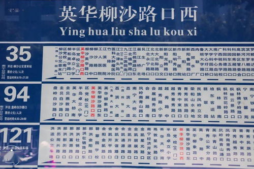 猪湾怎么组词 猪湾怎么组词