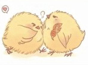 小鸡的图怎么组词啊 小鸡的图怎么组词啊