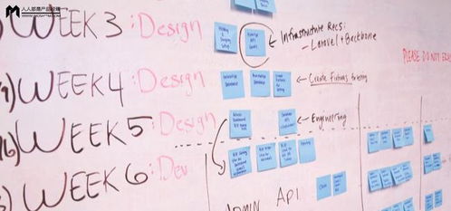 中央架的架怎么组词