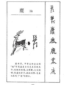 鹿字组词语 鹿字组词语