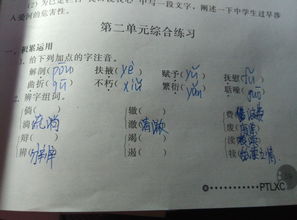 辩怎么组词怎么组词